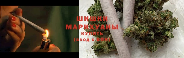 бошки Бронницы