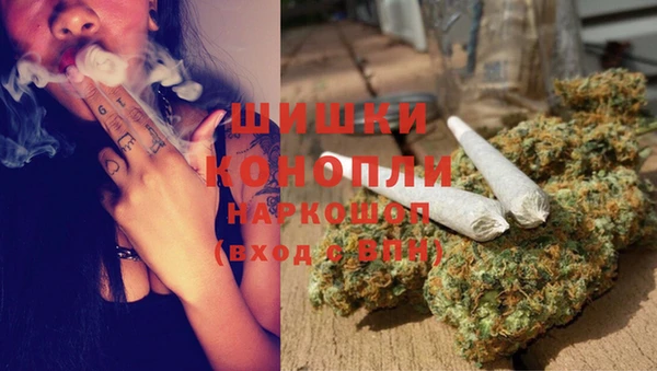 бошки Бронницы