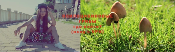 бошки Бронницы