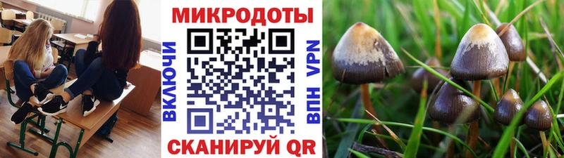 продажа наркотиков  Павловск  Псилоцибиновые грибы мухоморы 